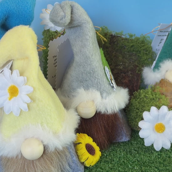Video of the Blossom Wee Folk handcrafted by Northern Nomes